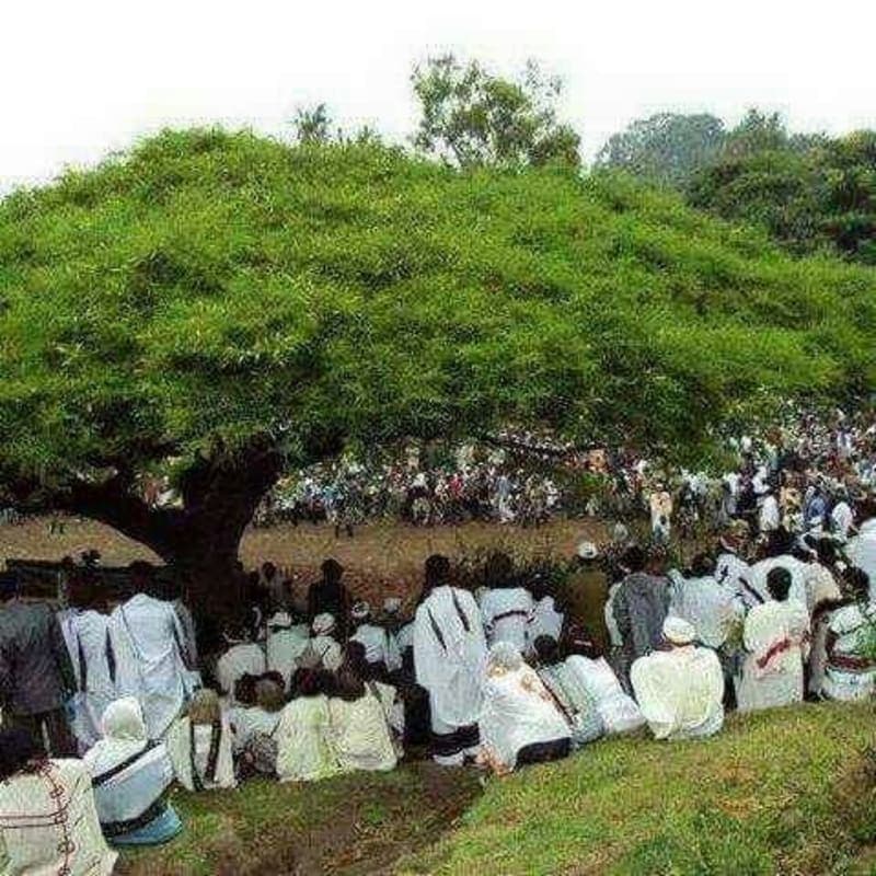 Gada System – Indigenous Democratic Governance