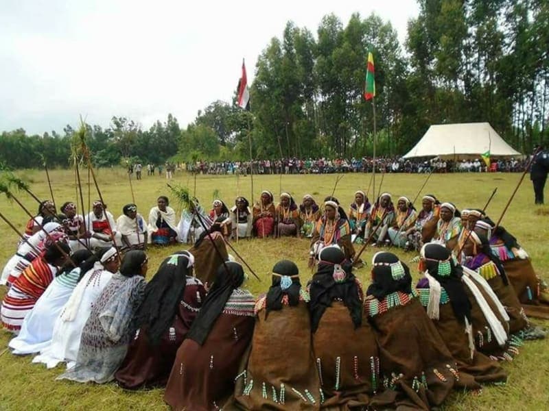 Arsi Cultural Horse Tradition