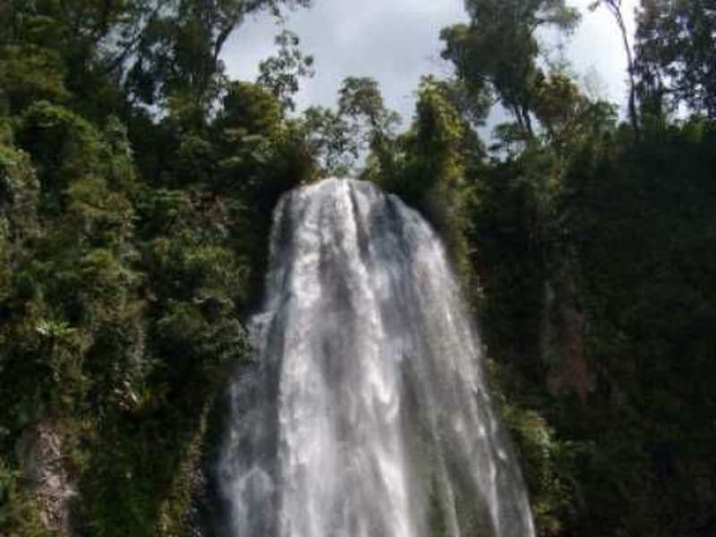 Jimma & Bonga Coffee Tour + Chebera Churchura National Park