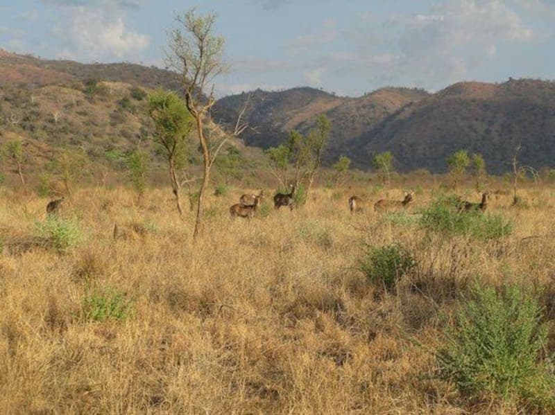 Southern Ethiopia – Omo Valley & Coffee Origins