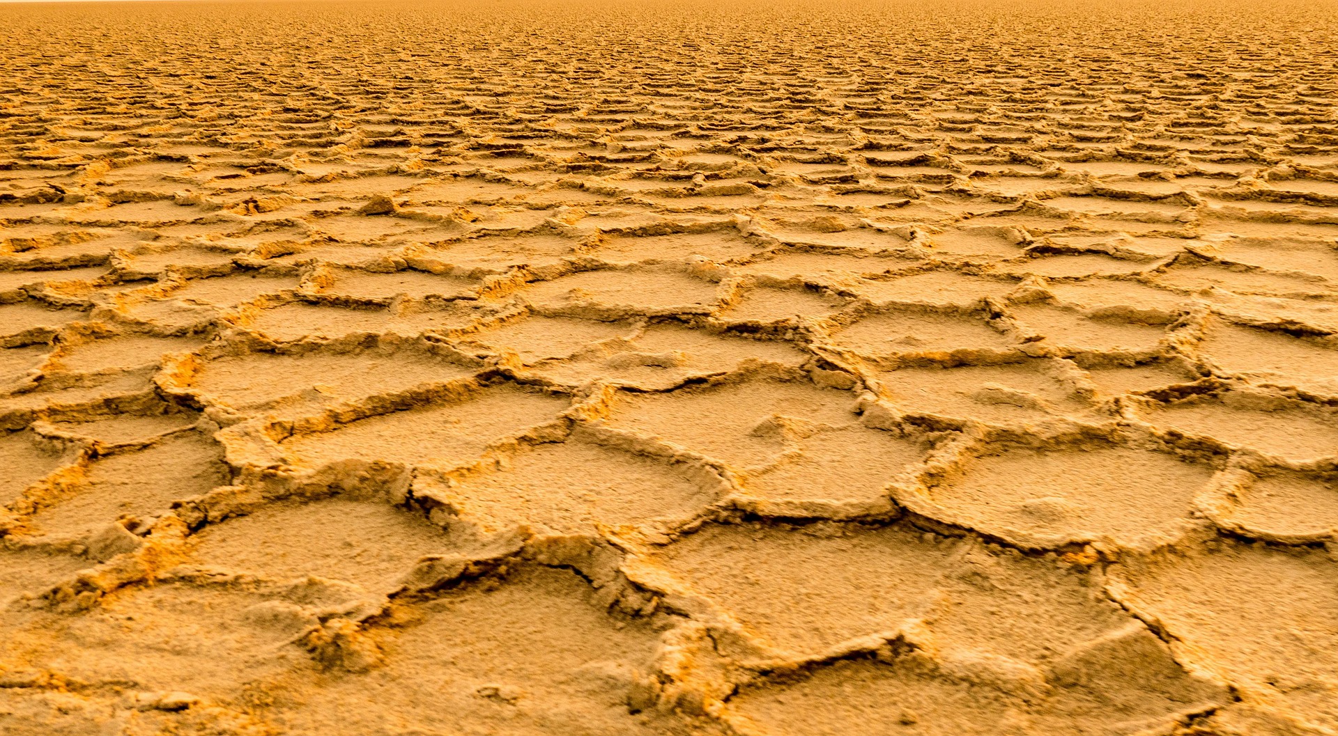 Erta Ale (Danakil Depression) gallery image 1