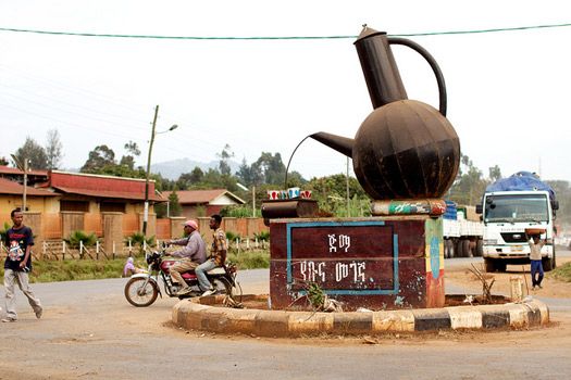 Jimma & Bonga Coffee Tour + Chebera Churchura National Park thumbnail 3