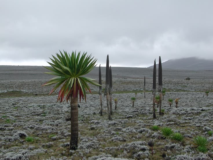 Southern Western Highlands Adventure thumbnail 2