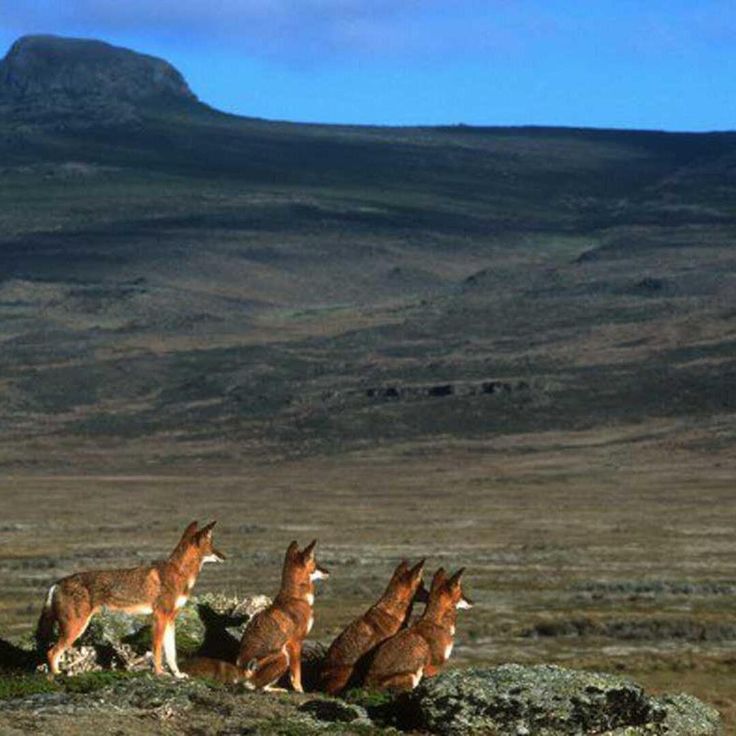 Southern Western Highlands Adventure thumbnail 3